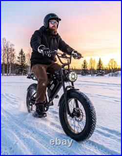 2500W 20 Fat Tire Adult Electric Bike 33MPH 48V 20AH Mountain Off-Road Ebike