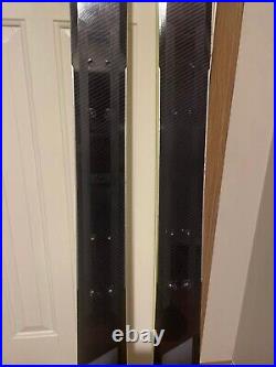 Fischer Pro Mountain 95 skis