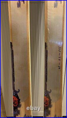 NORDICA Hot Rod I-Core All-Mountain Skis 162cm NEW! Winter Ski