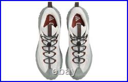 Nike ACG Mountain Fly 2 GORE-TEX Low Phantom Light Silver HF6245-003