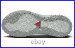 Nike ACG Mountain Fly 2 GORE-TEX Low Phantom Light Silver HF6245-003
