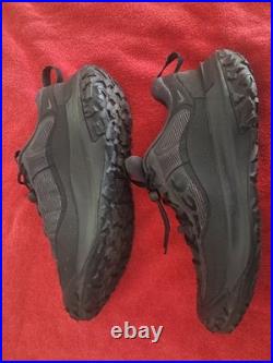 Nike ACG Mountain Fly 2 Low Goretex Smoke Grey And Black HF6245-001 Size 11