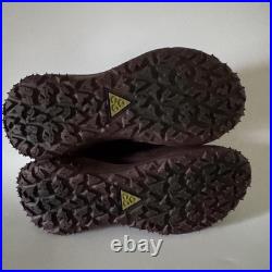 Nike Mens 7 ACG Mountain Fly 2 Low GORE-TEX Hiking Shoe Velvet Brown HF6245-200